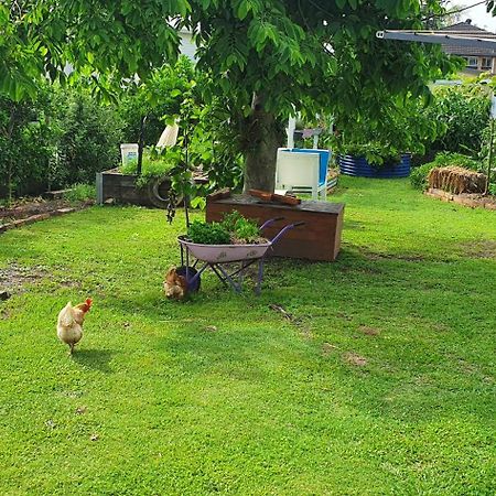 Sustainable B&B By The Bay Brisbane Exteriör bild